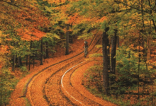 27 Amazing Things to do in The Fall in Michigan